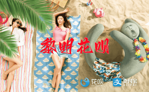 一览无余花呗